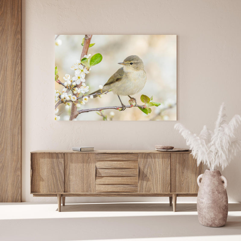 Wandbild - Kleiner Vogel am Baumzweig über Holzkommode hinter dekorativer Zimmerpflanze