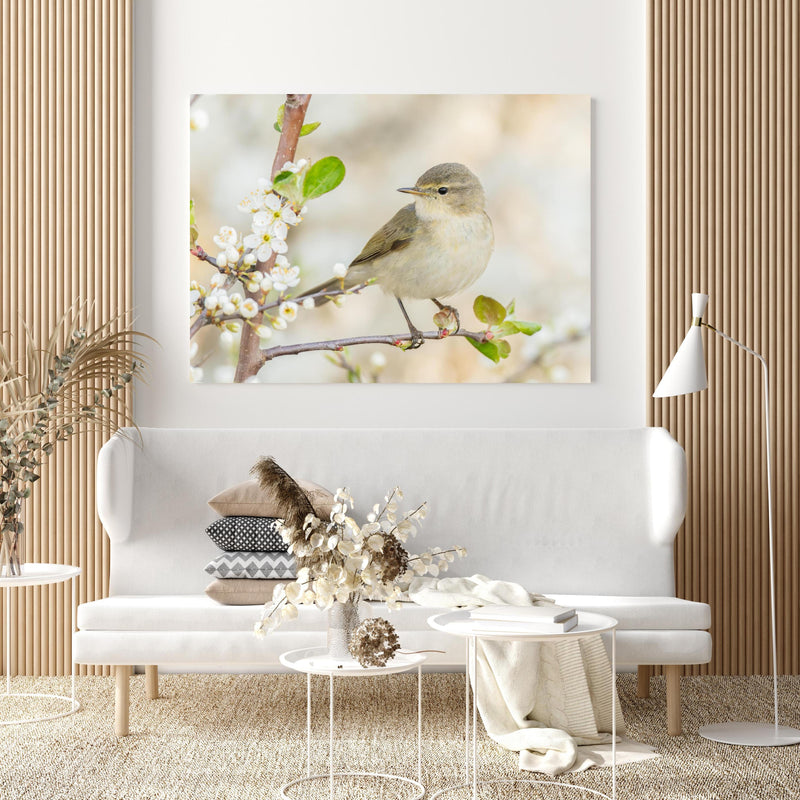 Wandbild - Kleiner Vogel am Baumzweig in extravagant gestaltetem Raum mit minimalistischer Couch-quadratisch