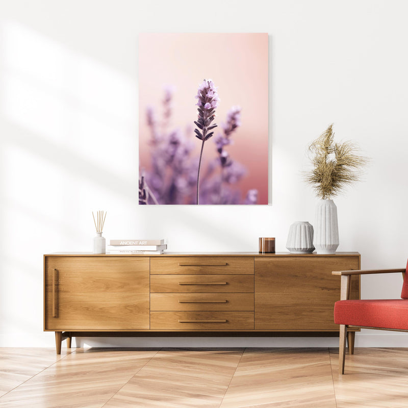 Wandbild - Lavendel - Nahaufnahme an cremefarbener Wand über klassischer Holzkommode