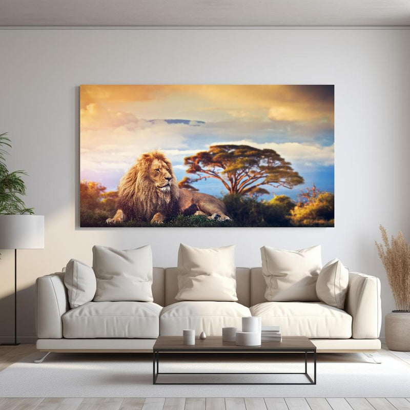 Wandbild - Löwe bei Sonnenuntergang hinter sanfter Couch mit cremefarbenen großen Kissen