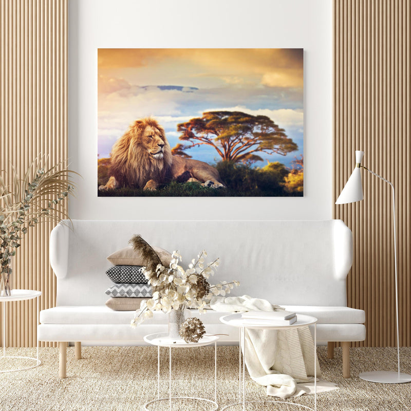 Wandbild - Löwe bei Sonnenuntergang in extravagant gestaltetem Raum mit minimalistischer Couch-quadratisch