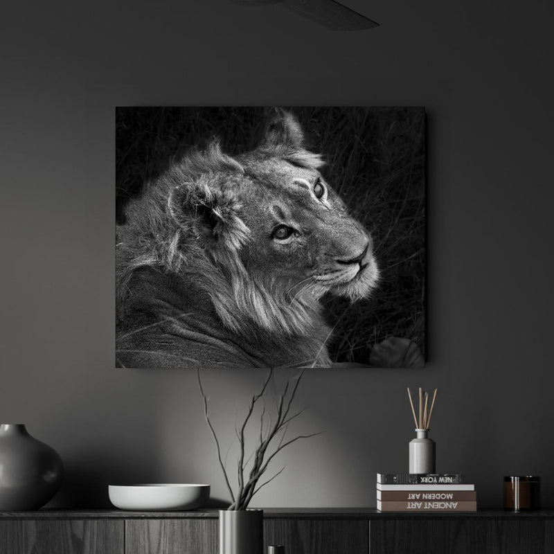 Wandbild - Löwen Portrait - Schwarz-weiß in dunkel eingerichtetem Esszimmer an grauer Wand Zoom