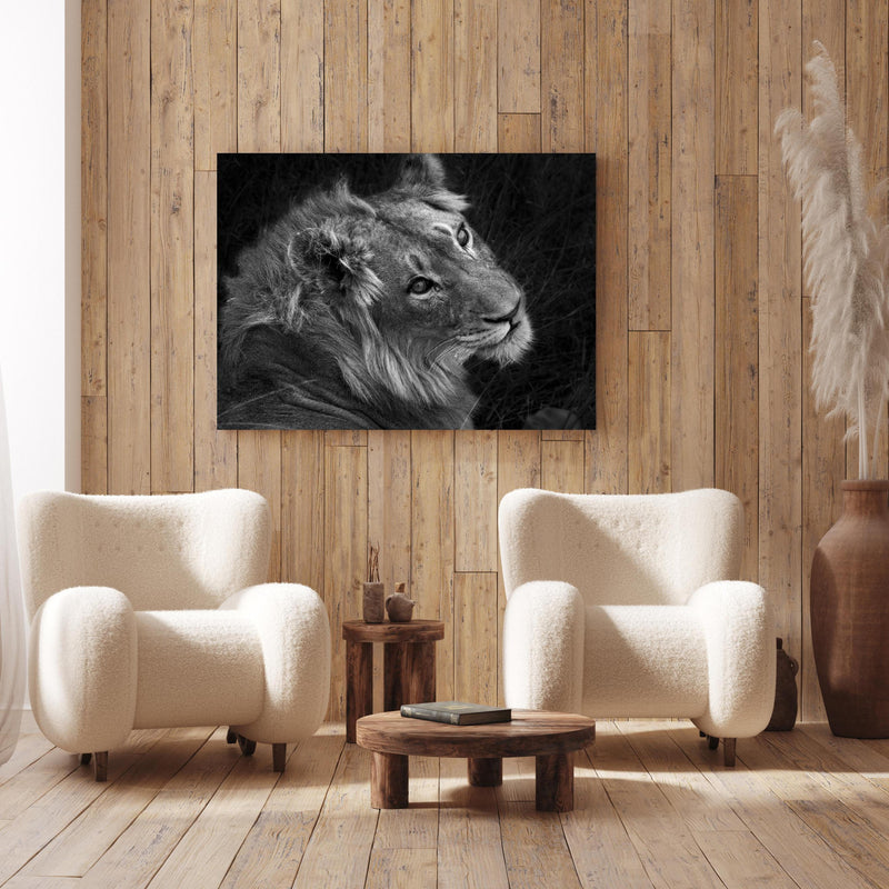 Wandbild - Löwen Portrait - Schwarz-weiß an Holzwand hinter sanften Sesseln mit Plüschbezug