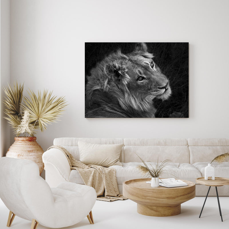 Wandbild - Löwen Portrait - Schwarz-weiß in exotisch eingerichtetem Wohnzimmer über gemütlicher Couch