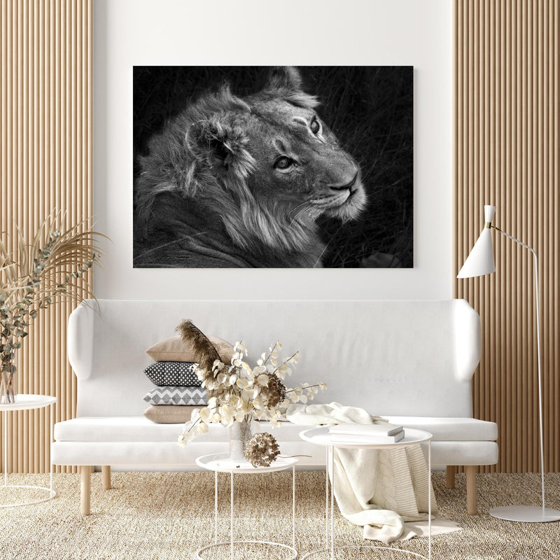 Wandbild - Löwen Portrait - Schwarz-weiß in extravagant gestaltetem Raum mit minimalistischer Couch-quadratisch