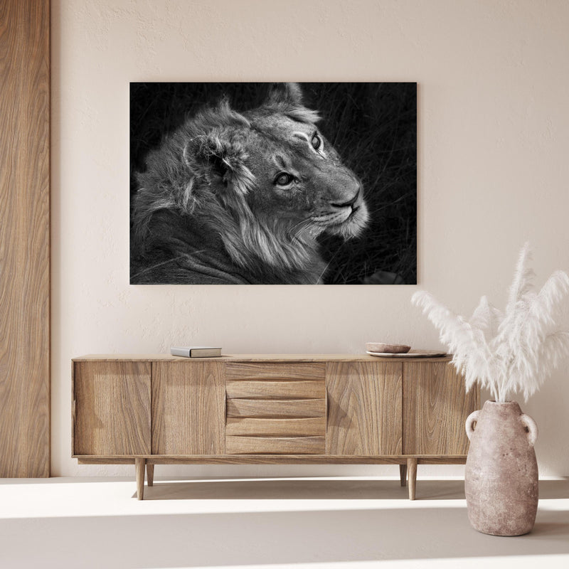Wandbild - Löwen Portrait - Schwarz-weiß über Holzkommode hinter dekorativer Zimmerpflanze