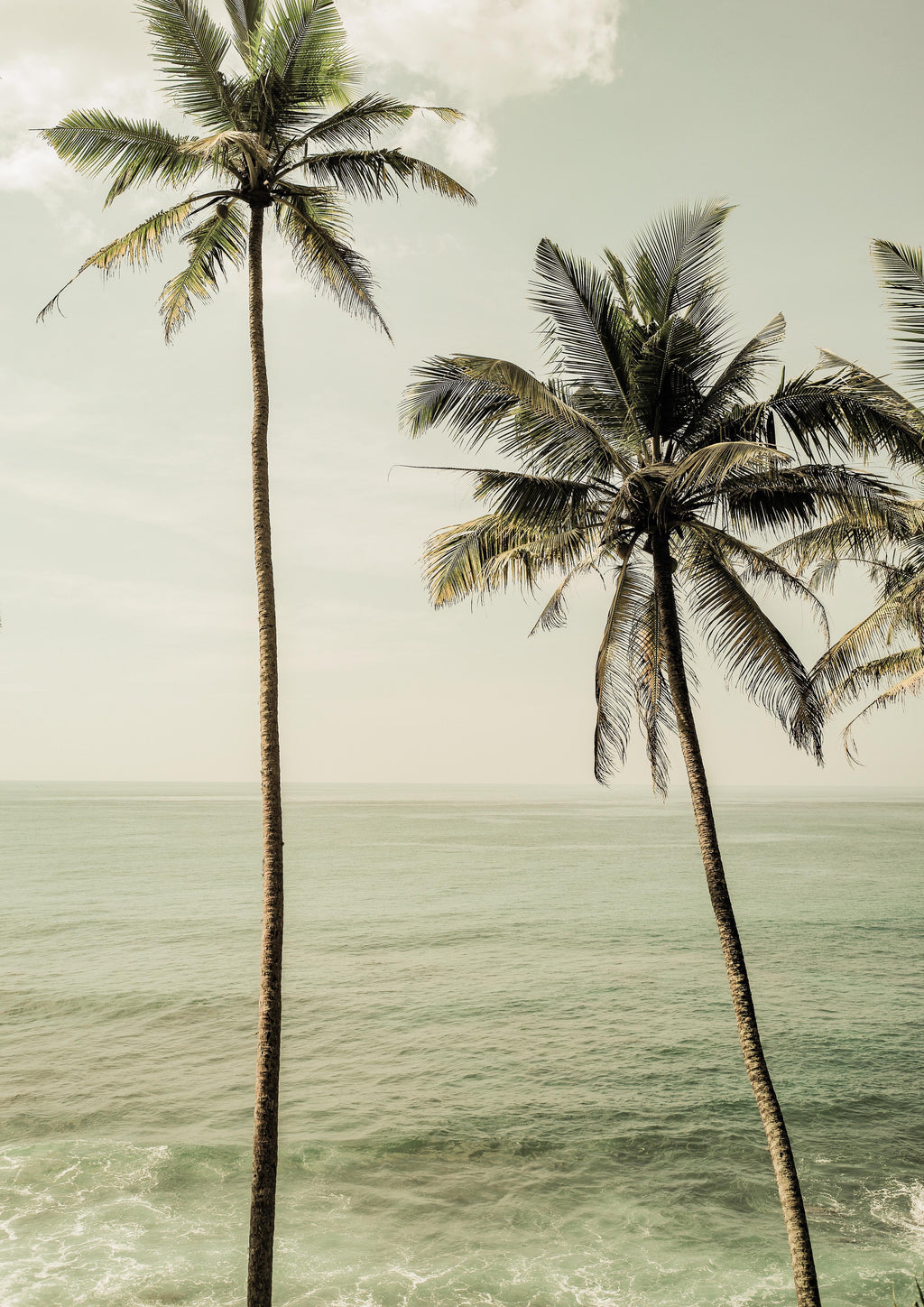 Wandbild-Meeresblick - Unter Palmen