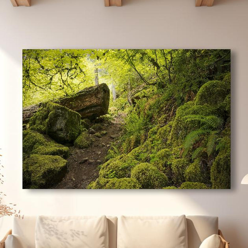 Wandbild - Moosiger Weg im Wald in modernem Wohnzimmer im Loft-Stil Zoom