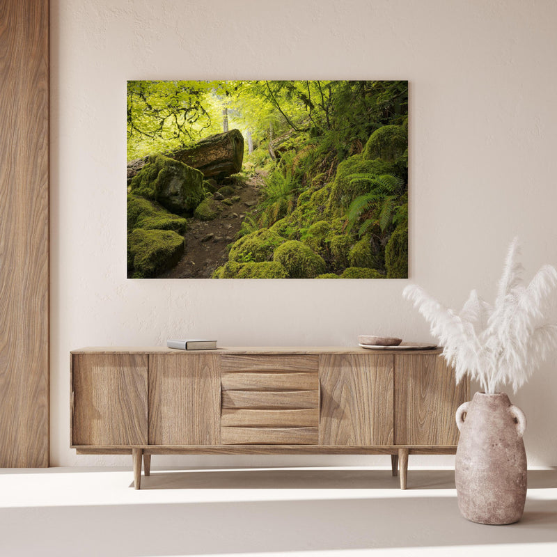 Wandbild - Moosiger Weg im Wald über Holzkommode hinter dekorativer Zimmerpflanze