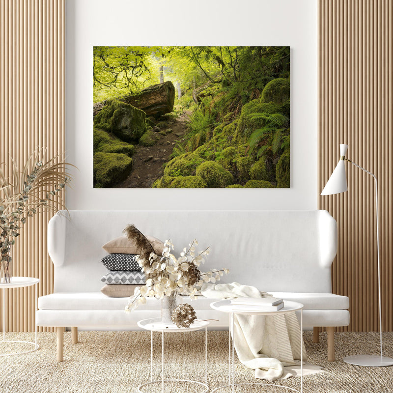 Wandbild - Moosiger Weg im Wald in extravagant gestaltetem Raum mit minimalistischer Couch-quadratisch