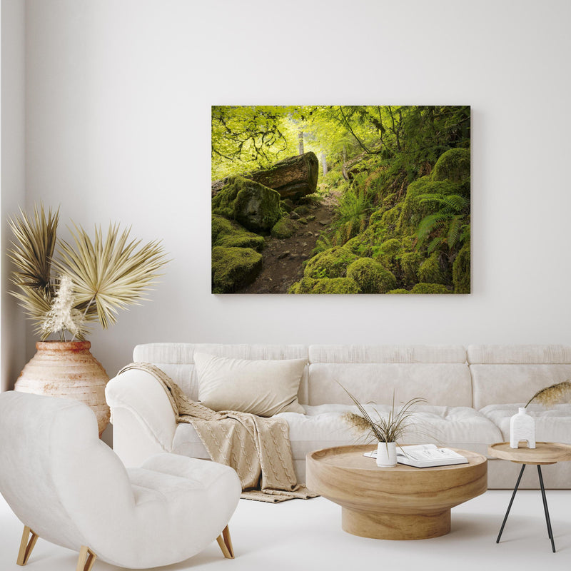 Wandbild - Moosiger Weg im Wald in exotisch eingerichtetem Wohnzimmer über gemütlicher Couch