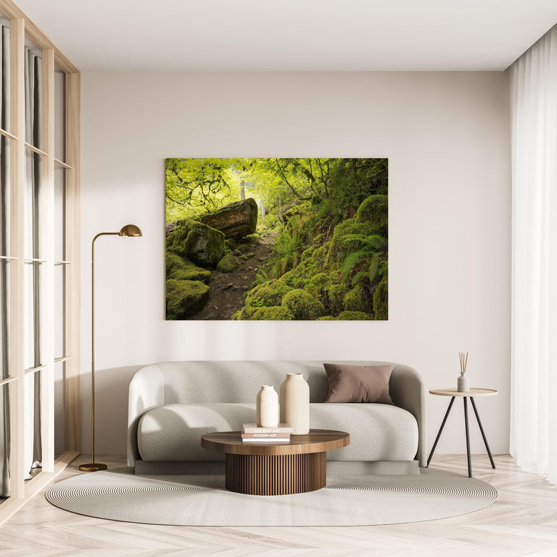 Wandbild - Moosiger Weg im Wald in minimalistisch eingerichtetem cremefarbenen Wohnzimmer