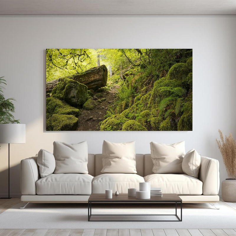 Wandbild - Moosiger Weg im Wald hinter sanfter Couch mit cremefarbenen großen Kissen