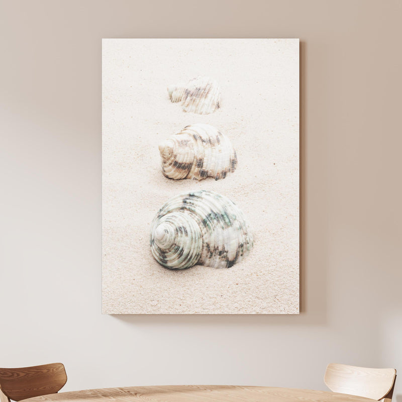 Wandbild - Muscheln am Strand an beiger Wand hinter handgeschnitztem Holztisch Zoom