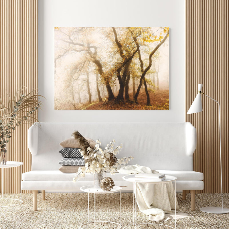 Wandbild - Nebeliger Wald im Herbst in extravagant gestaltetem Raum mit minimalistischer Couch-quadratisch