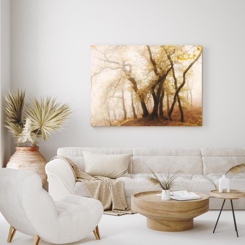 Wandbild - Nebeliger Wald im Herbst in exotisch eingerichtetem Wohnzimmer über gemütlicher Couch