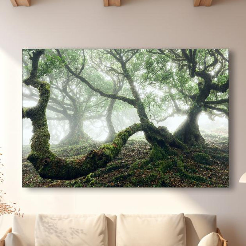 Wandbild - Nebeliger, mystischer Wald in modernem Wohnzimmer im Loft-Stil Zoom