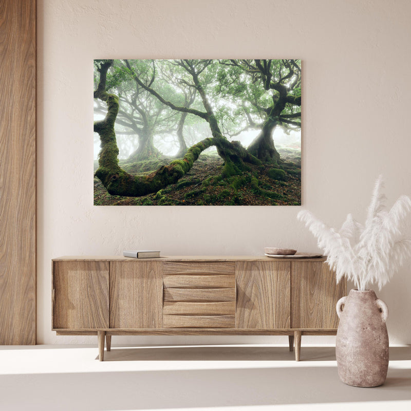 Wandbild - Nebeliger, mystischer Wald über Holzkommode hinter dekorativer Zimmerpflanze