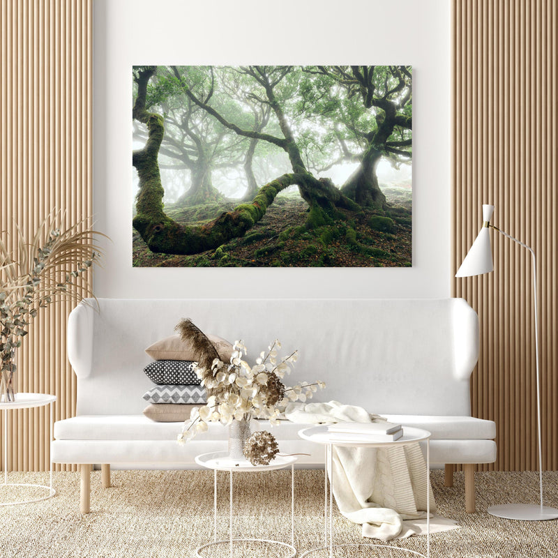 Wandbild - Nebeliger, mystischer Wald in extravagant gestaltetem Raum mit minimalistischer Couch-quadratisch