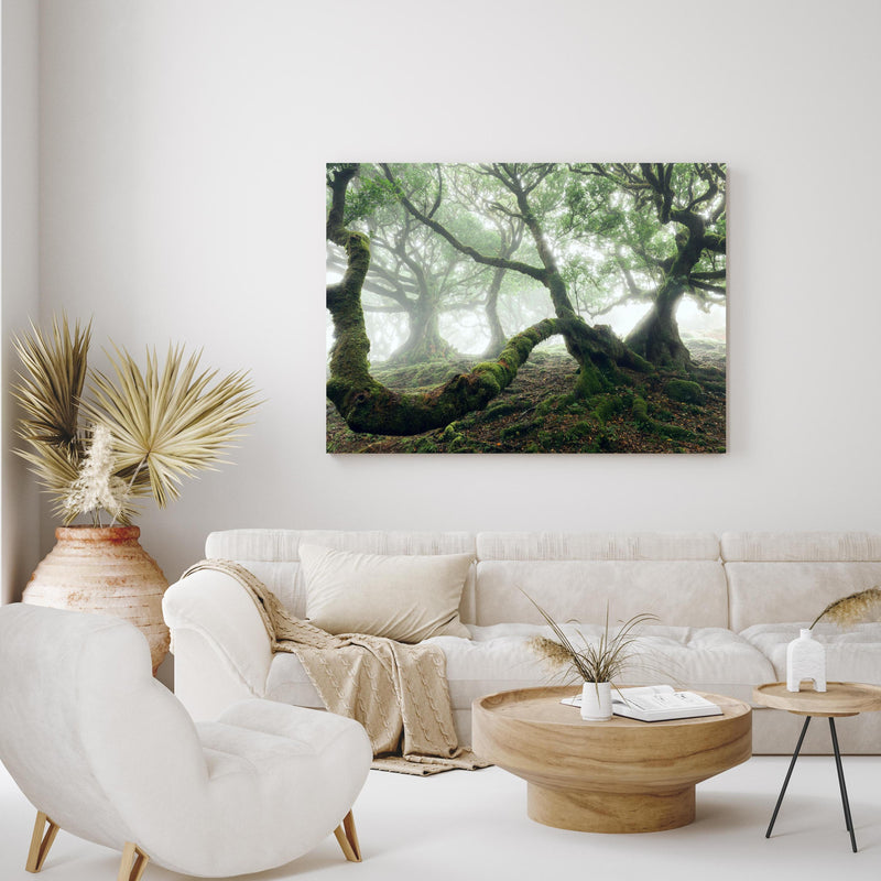 Wandbild - Nebeliger, mystischer Wald in exotisch eingerichtetem Wohnzimmer über gemütlicher Couch