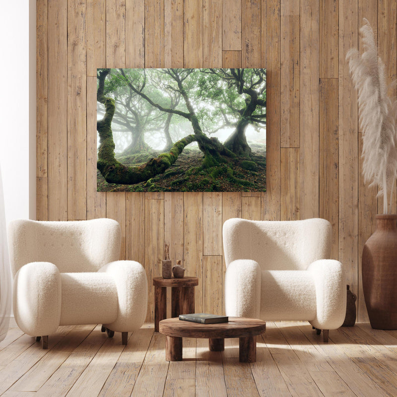 Wandbild - Nebeliger, mystischer Wald an Holzwand hinter sanften Sesseln mit Plüschbezug