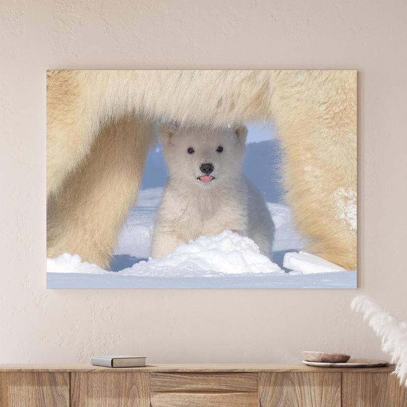 Wandbild - Niedliches Jungtier - Eisbär über Holzkommode hinter dekorativer Zimmerpflanze Zoom