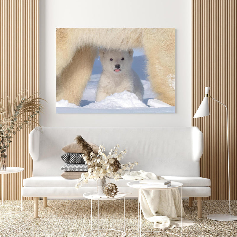 Wandbild - Niedliches Jungtier - Eisbär in extravagant gestaltetem Raum mit minimalistischer Couch-quadratisch