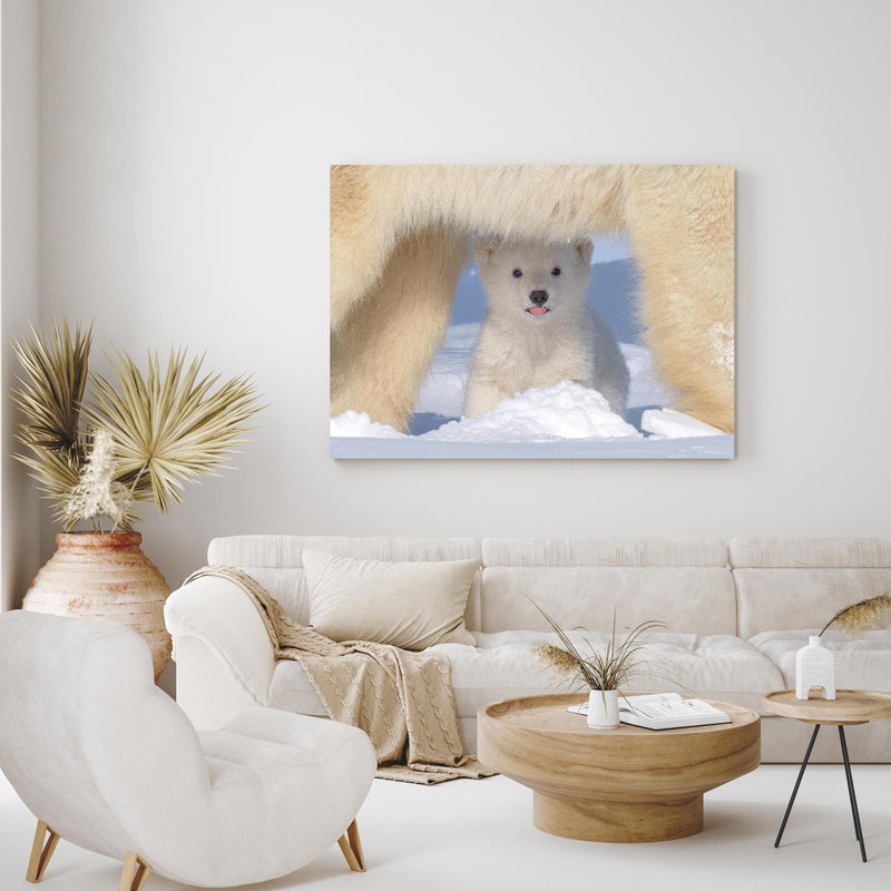 Wandbild - Niedliches Jungtier - Eisbär in exotisch eingerichtetem Wohnzimmer über gemütlicher Couch