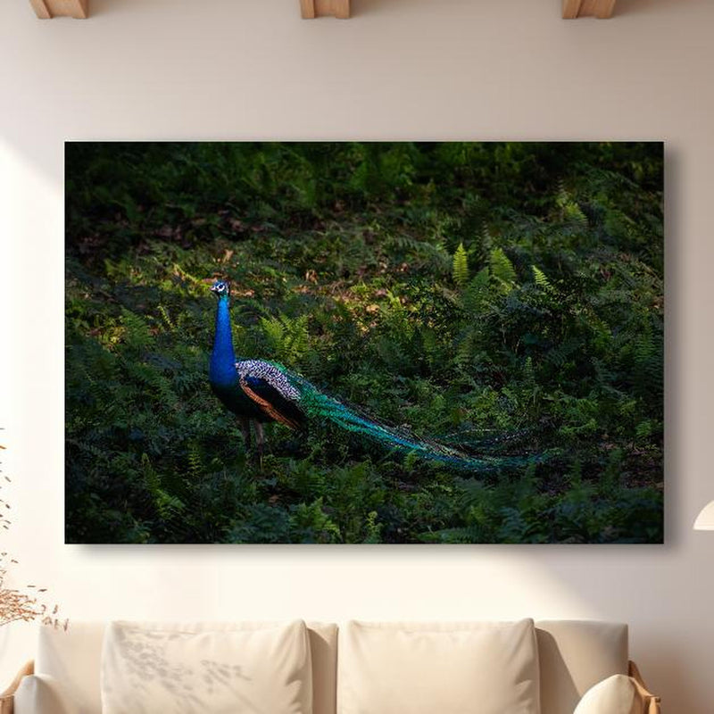 Wandbild - Pfau in freier Natur in modernem Wohnzimmer im Loft-Stil Zoom