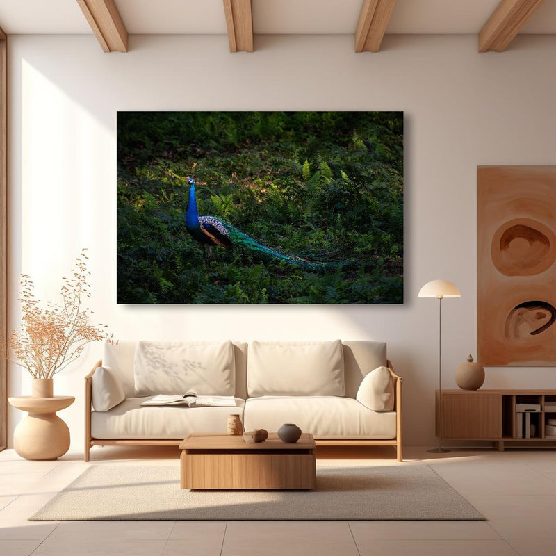 Wandbild - Pfau in freier Natur in modernem Wohnzimmer im Loft-Stil