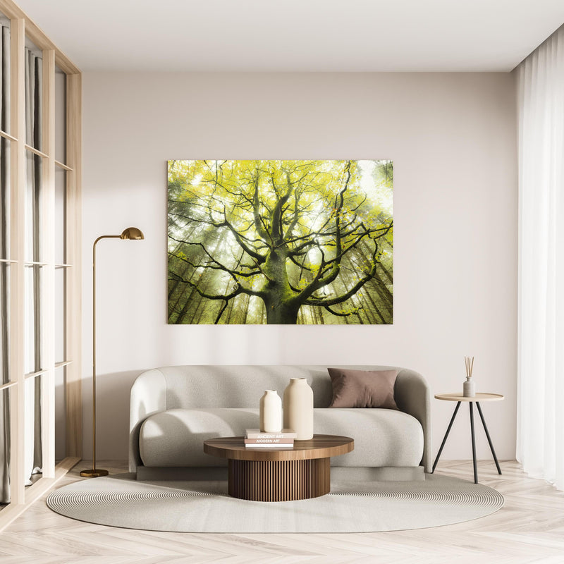 Wandbild - Riesiger Baum in Bayern in minimalistisch eingerichtetem cremefarbenen Wohnzimmer
