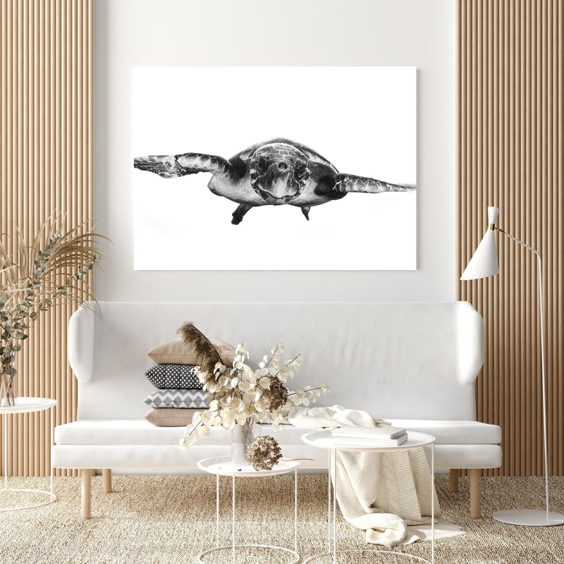 Wandbild - Schildkröte in extravagant gestaltetem Raum mit minimalistischer Couch-quadratisch