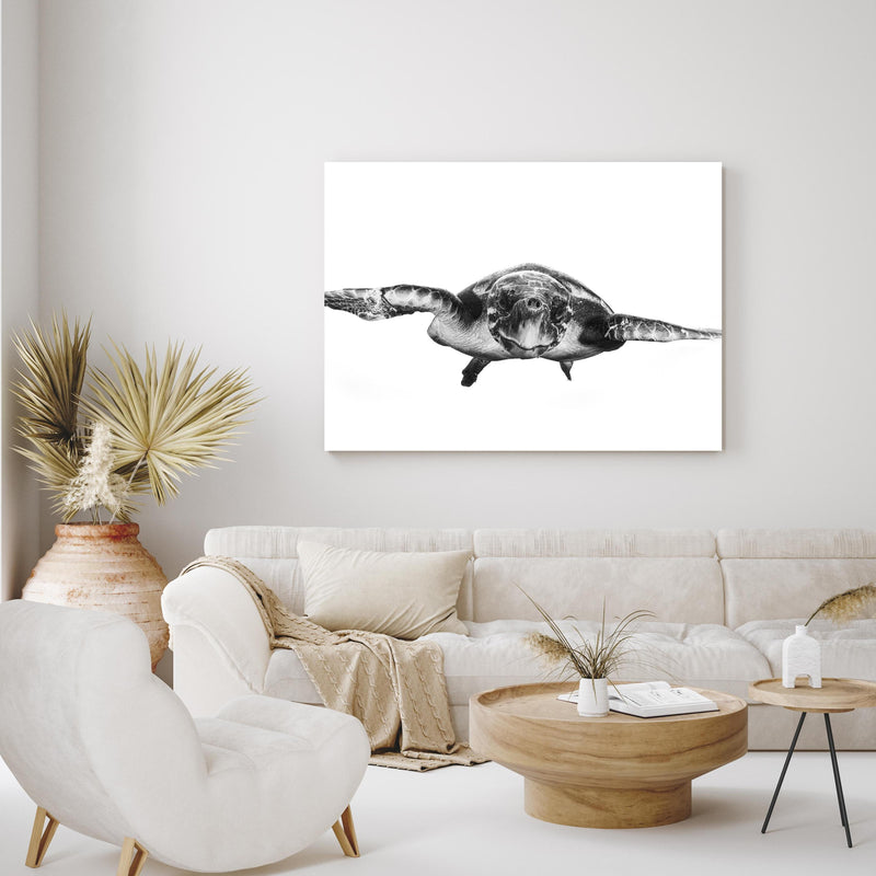 Wandbild - Schildkröte in exotisch eingerichtetem Wohnzimmer über gemütlicher Couch