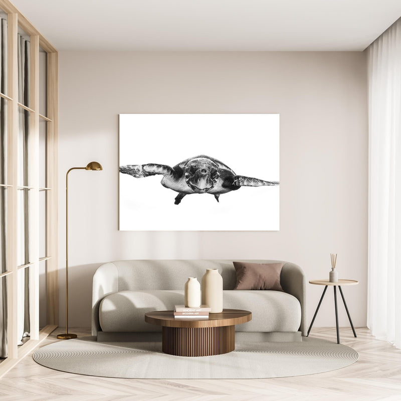 Wandbild - Schildkröte in minimalistisch eingerichtetem cremefarbenen Wohnzimmer