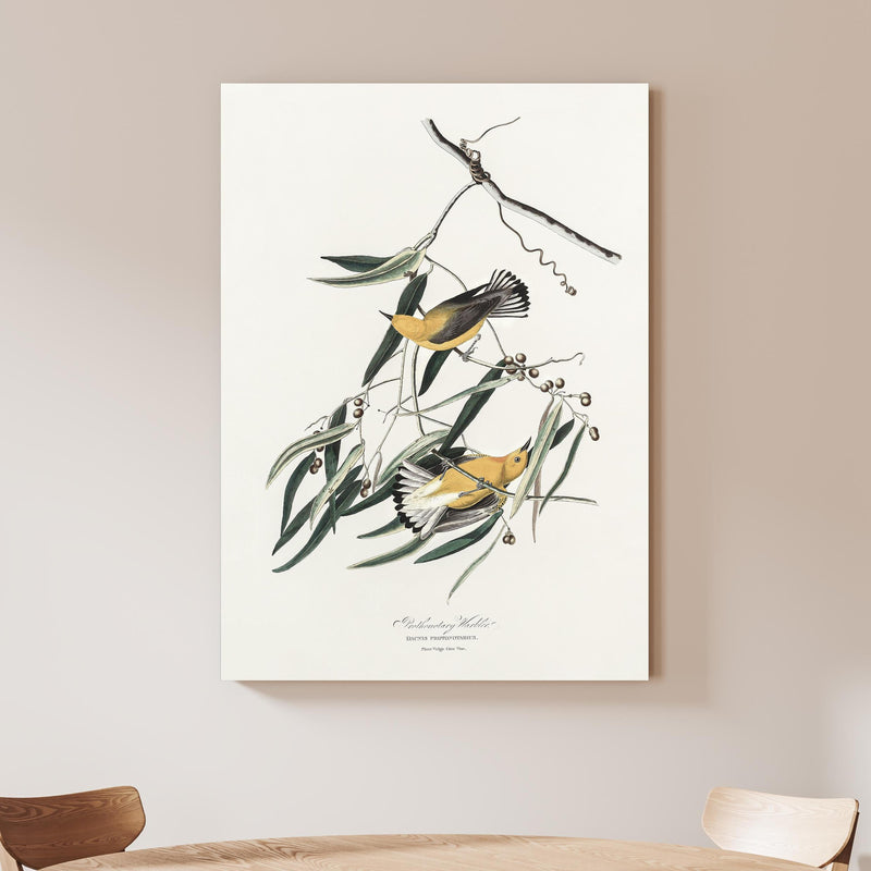 Wandbild - Singvogel Portrait - John James Audubon an beiger Wand hinter handgeschnitztem Holztisch Zoom