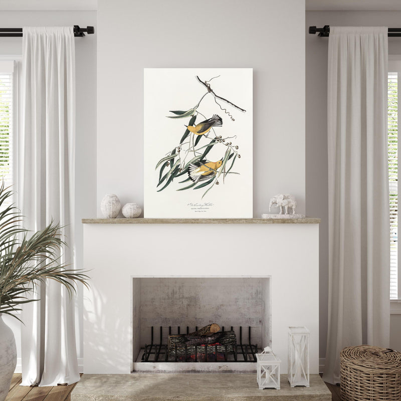 Wandbild - Singvogel Portrait - John James Audubon über edlem Kamin mit authentischem Altholz