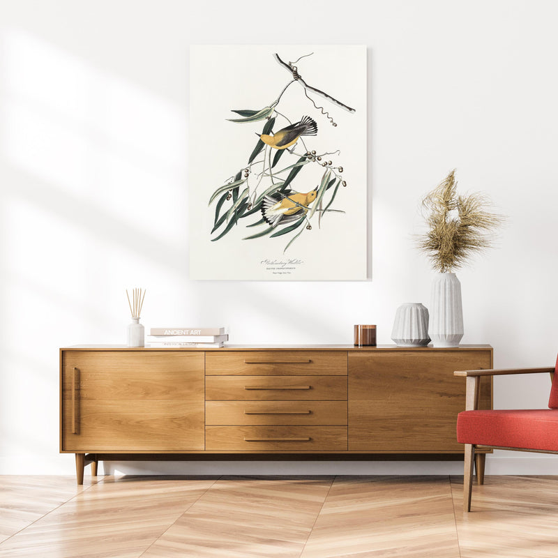 Wandbild - Singvogel Portrait - John James Audubon an cremefarbener Wand über klassischer Holzkommode