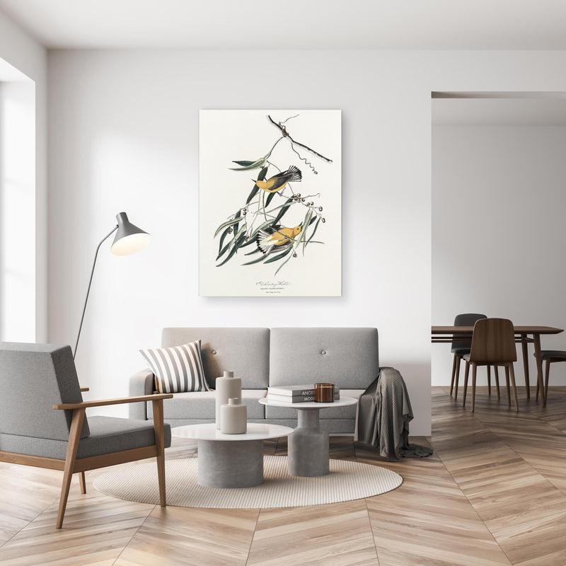 Wandbild - Singvogel Portrait - John James Audubon in gemütlichem Wohnzimmer neben grauer Retro-Lampe