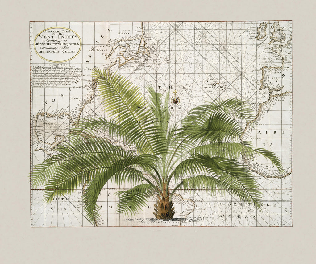 Wandbild-Tropical Empire No1