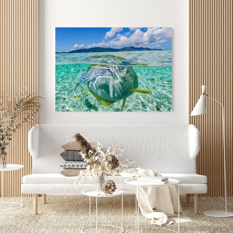Wandbild - Tropischer Fisch - Unterwasserwelt in extravagant gestaltetem Raum mit minimalistischer Couch-quadratisch