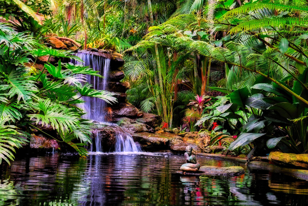 Wandbild-Tropischer Wasserfall