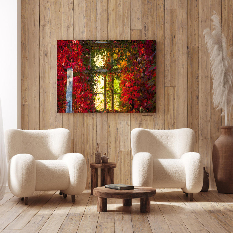 Wandbild - Verwachsenes Fenster mit roten Blättern an Holzwand hinter sanften Sesseln mit Plüschbezug
