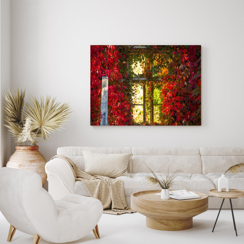 Wandbild - Verwachsenes Fenster mit roten Blättern in exotisch eingerichtetem Wohnzimmer über gemütlicher Couch