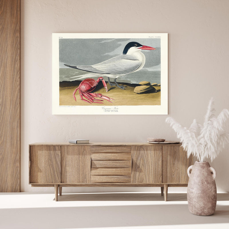 Wandbild - Vogel Portrait - Robert Havell über Holzkommode hinter dekorativer Zimmerpflanze