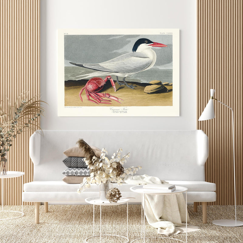 Wandbild - Vogel Portrait - Robert Havell in extravagant gestaltetem Raum mit minimalistischer Couch-quadratisch