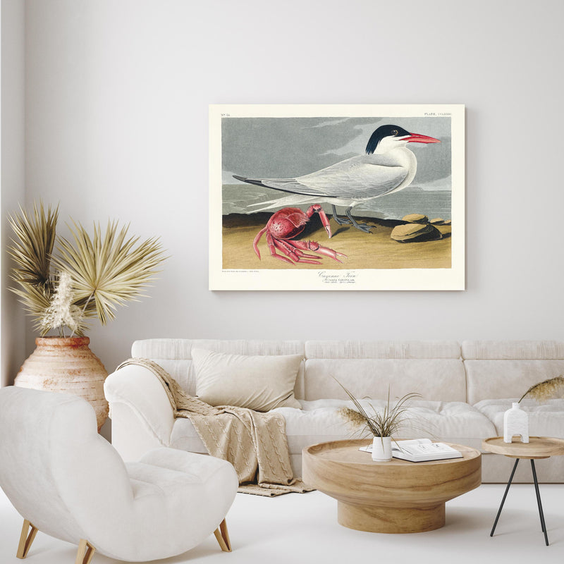 Wandbild - Vogel Portrait - Robert Havell in exotisch eingerichtetem Wohnzimmer über gemütlicher Couch