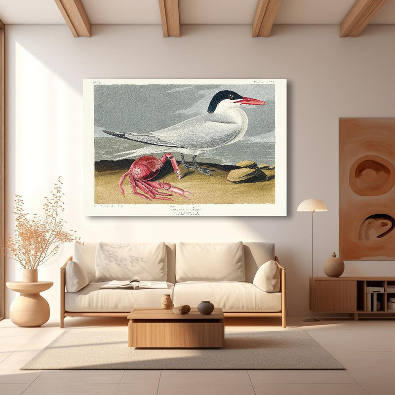 Wandbild - Vogel Portrait - Robert Havell in modernem Wohnzimmer im Loft-Stil