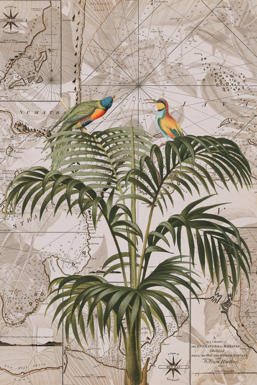 Wandbild-Weltkarte - Tropische Pflanze