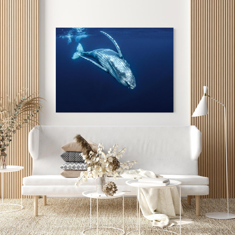 Wandbild - Wunderschönes Buckelwalbaby in extravagant gestaltetem Raum mit minimalistischer Couch-quadratisch