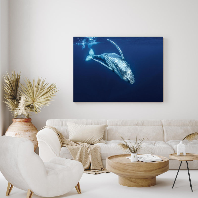 Wandbild - Wunderschönes Buckelwalbaby in exotisch eingerichtetem Wohnzimmer über gemütlicher Couch